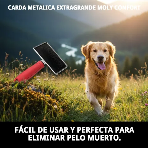 Carda Moly Confort cepillando pelaje largo de perro grande