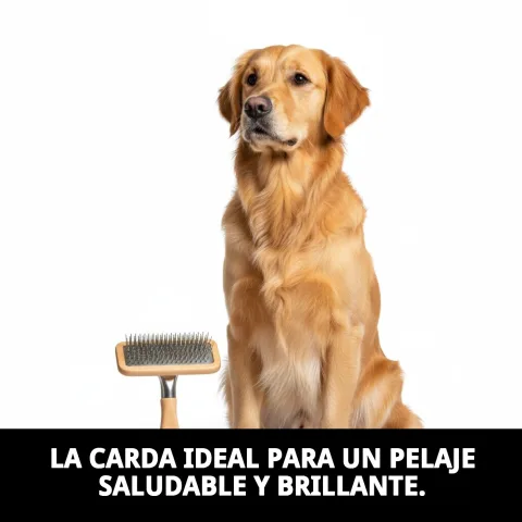 Mango ergonómico y antideslizante de la Carda Universal Mediana Moly
