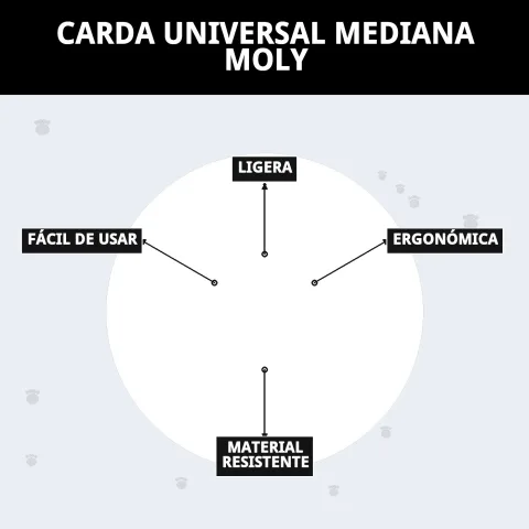 Carda Universal Mediana Moly junto a otros accesorios de grooming Moly