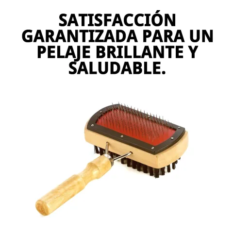 Cepillo Moly con diseño ergonómico y sostenible