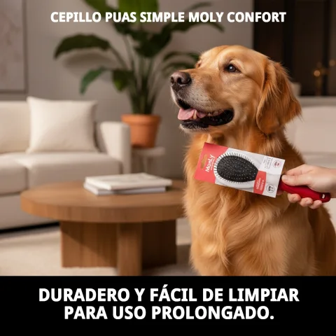 Cepillo Simple Moly Confort usado en gato de pelaje medio