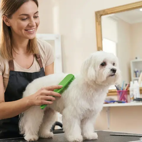 Brosse Moly pour chiens à peau atopique et sensible