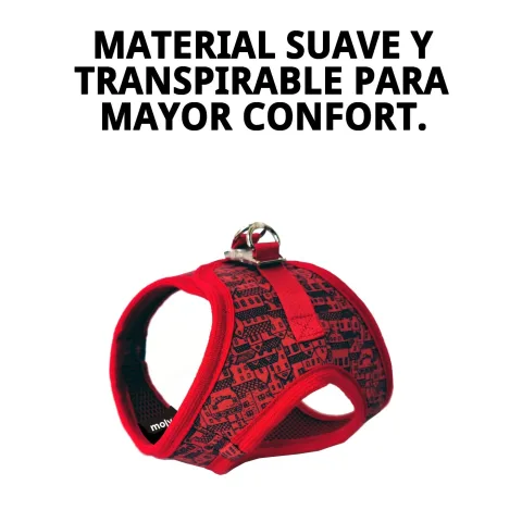 Chaleco 3D casitas rouges sur un chat de petite taille fond neutre