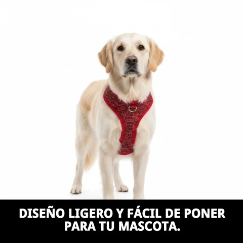 Chien portant le gilet Casitas Rouges T-L lors d'une promenade en extérieur