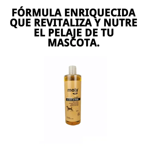 Chien avec pelage brillant et doux après utilisation du shampoing Moly