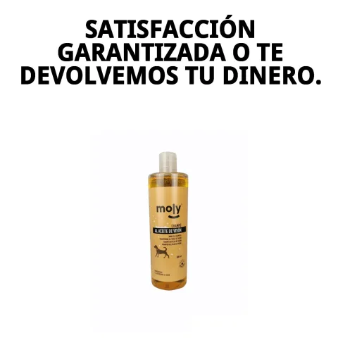 Shampoing Moly à côté d'une brosse professionnelle pour poils longs