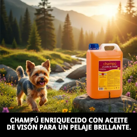 Envase de 5 litros de champú para perros Yorkshire Terrier