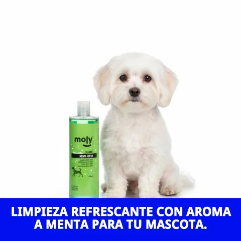 Shampoing Menta Fresh appliqué sur le pelage d'un chien