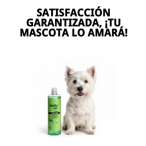 Chien détendu après un bain avec le Shampoing Menta Fresh