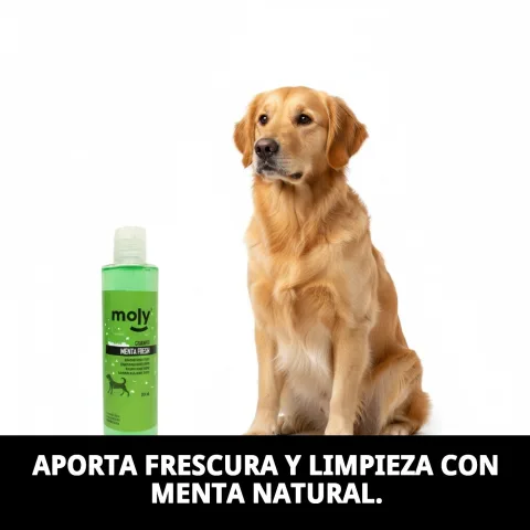 Detalle del envase del champú Menta Fresh para perros
