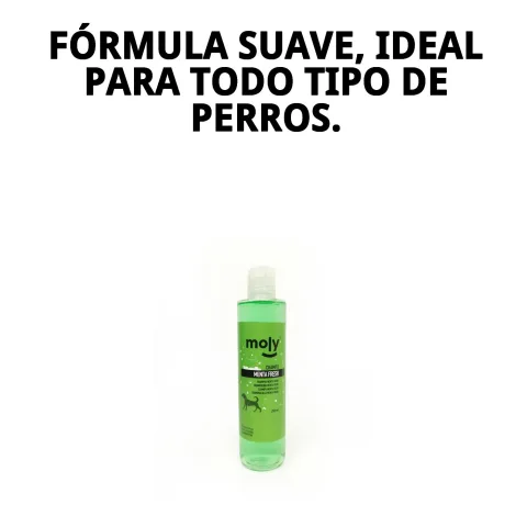 Perro con pelaje limpio y brillante tras uso de Champú Menta Fresh