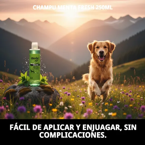 Textura y espuma del Champú Menta Fresh en la mano