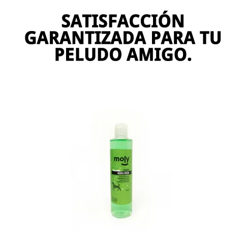 Envase del Champú Menta Fresh sobre fondo blanco