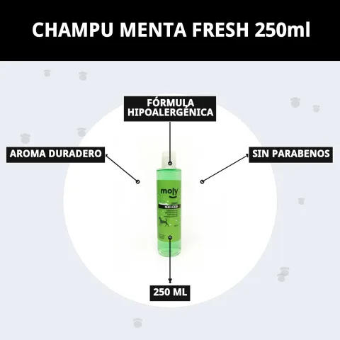 Perro relajado y limpio tras el baño con Champú Menta Fresh
