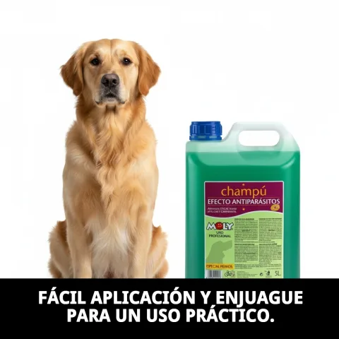 Usage professionnel du shampoing en salon de toilettage canin