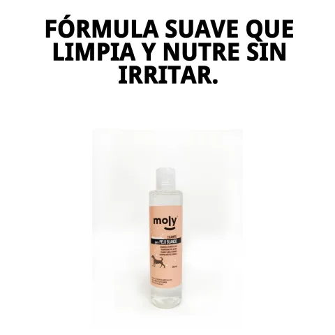 Detalle del pelaje blanco brillante tras uso de champú Moly