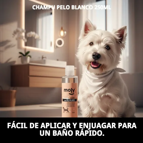 Perro West Highland White Terrier con pelaje limpio y brillante