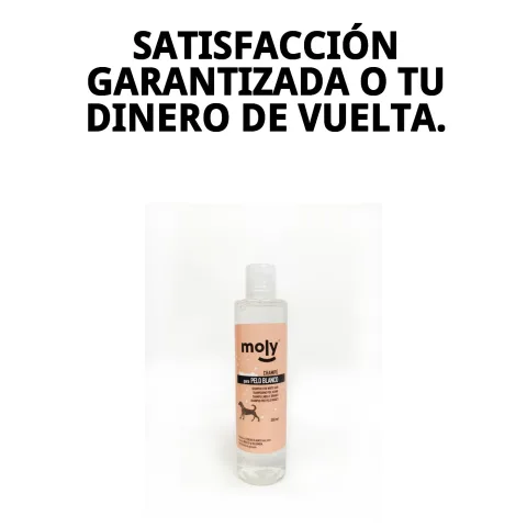 Aplicación de champú sobre pelaje claro de perro