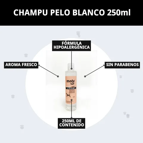 Champú Pelo Blanco Moly en entorno doméstico para perros