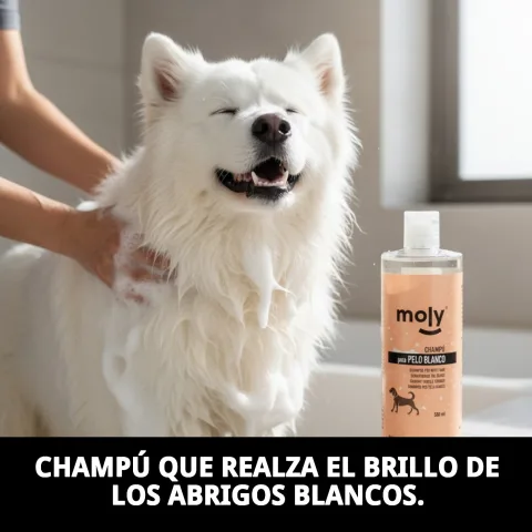 Détail de l'étiquette du shampoing Pelage Blanc Moly pour animaux