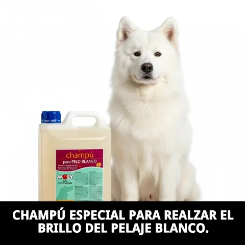Detalle del envase y etiqueta del Champú Pelo Blanco Moly 5 L