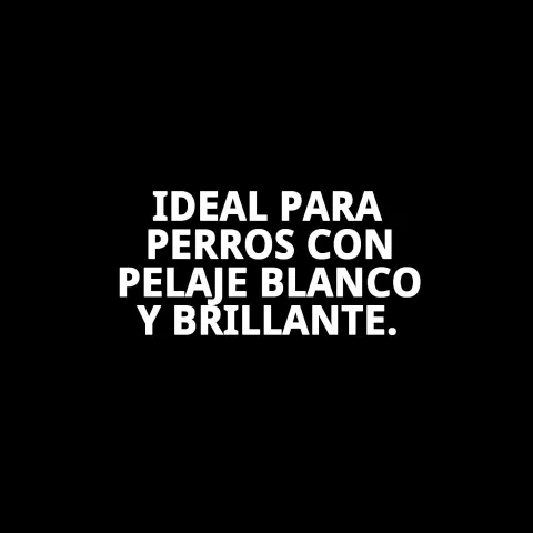 Aplicación del champú en perro de pelaje blanco