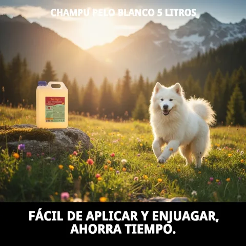 Perro con pelaje blanco brillante tras uso de Champú Pelo Blanco Moly