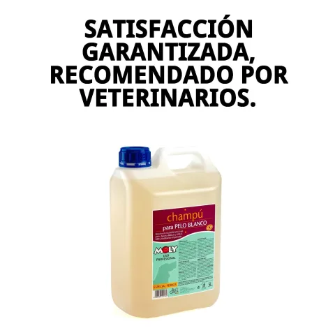 Champú Pelo Blanco Moly en entorno de peluquería canina profesional