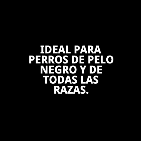 Aplicación de champú en perro con pelaje negro