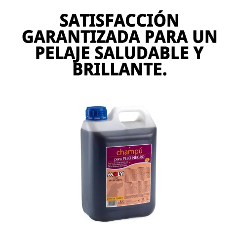 Champú profesional Moly para peluquerías caninas