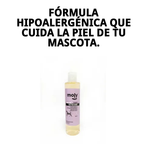 Perro con pelaje brillante tras uso de champú Moly