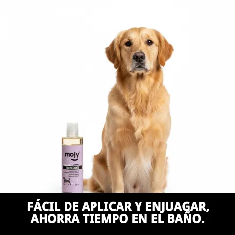 Champú con aroma a albaricoque para limpieza diaria