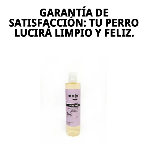 Envase de champú Moly sobre fondo blanco