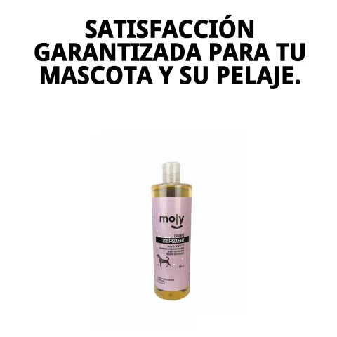 Produit shampoing Moly pour hygiène quotidienne des chiens