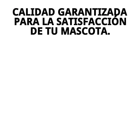 Cojín N.5 disponible en tres colores diferentes
