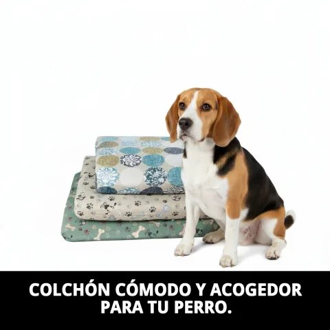 Funda extraíble del colchón para perros pequeños