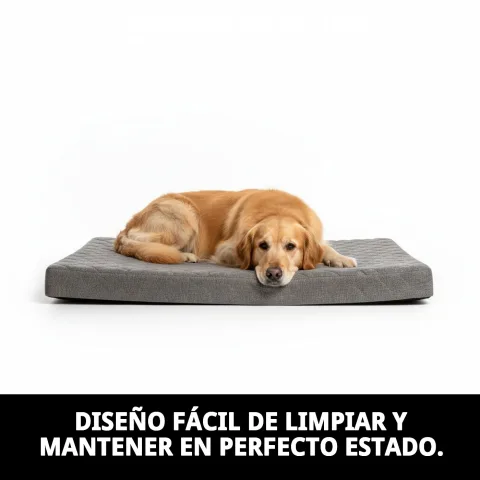 Colchoneta ligera para uso en exteriores con perro descansando