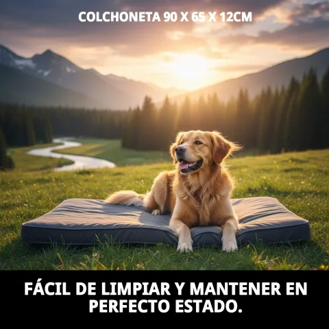 Perro descansando cómodamente sobre colchoneta de Mar Mascotas