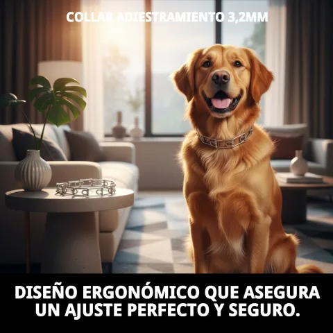 Collar de adiestramiento para control efectivo de perros