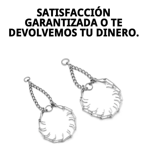 Uso responsable del collar metálico en adiestramiento canino