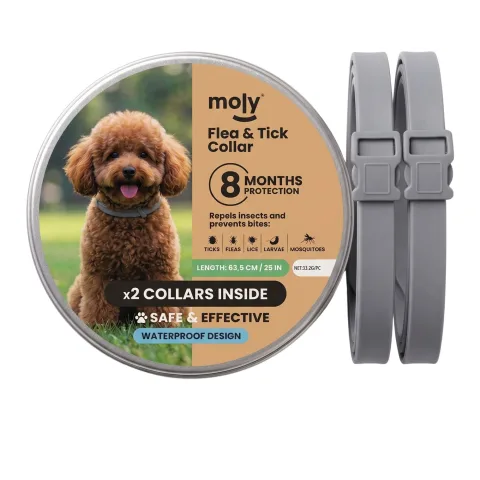 Detalle del cierre ajustable del collar antiparasitario Moly
