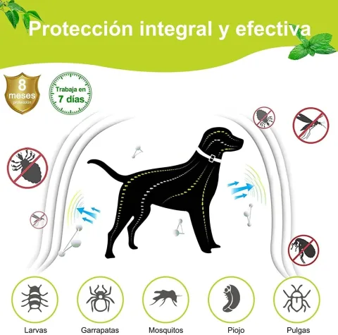 Presentación del pack de 2 unidades del collar antiparasitario Moly