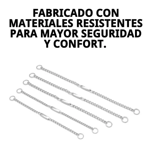 Collar cadena con placa colocado en perro pequeño durante paseo