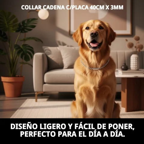 Packaging del collar cadena con placa en formato colgador