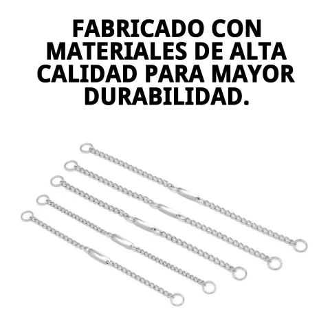 Uso del collar cadena con placa en perro durante paseo