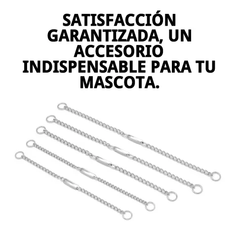 Vista lateral del collar cadena con placa para perros