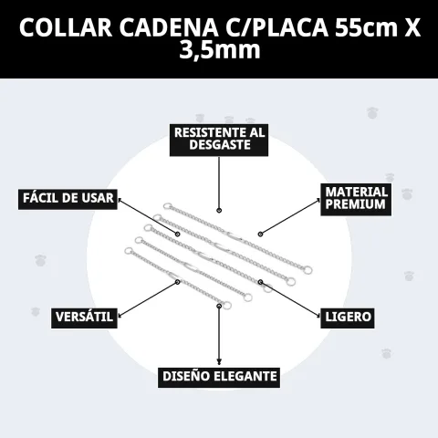 Collar cadena con placa ajustado en perro activo