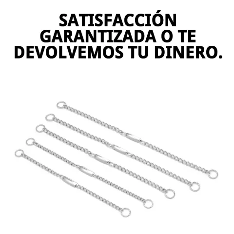 Cierre y ajuste del collar cadena metálico para perros