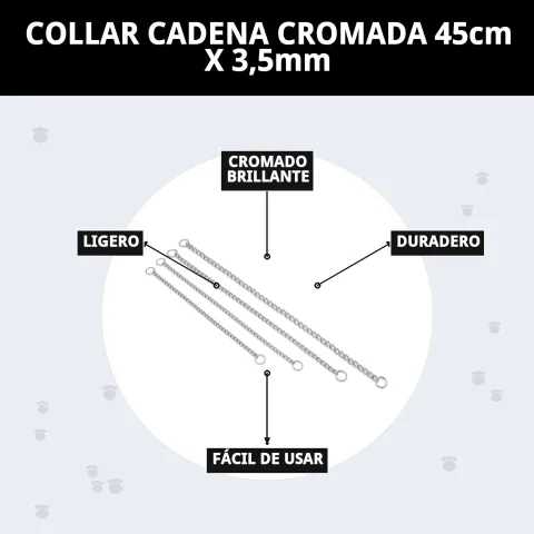Uso del collar cadena cromada durante paseo con perro mediano