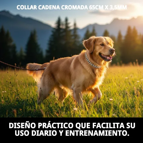 Uso del collar cadena durante paseo con perro